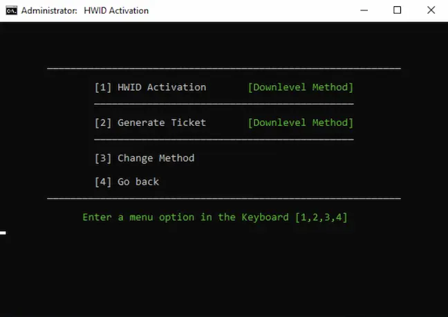 If you chose HWID, you’ll see a second screen which asks if you’d like to continue with activation. Type 1 to continue. The process from here will be automatic.